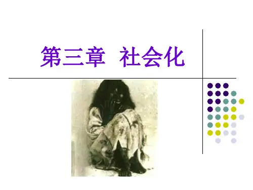 社会心理学 第三章  社会化