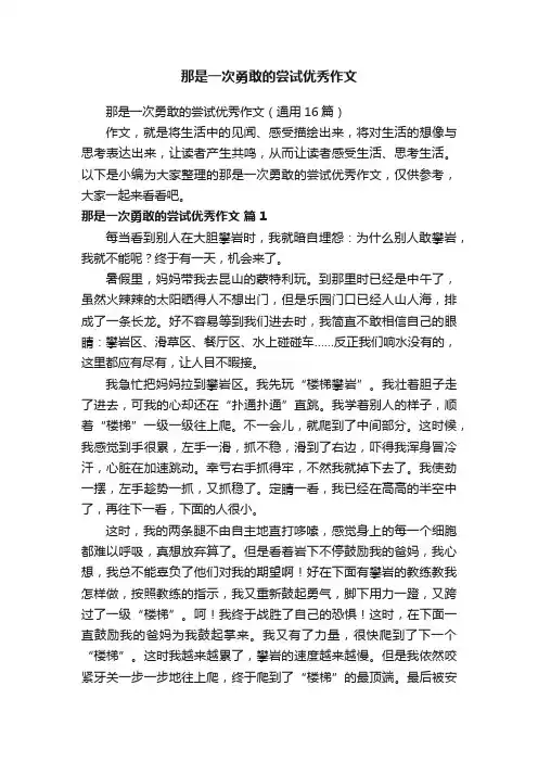 那是一次勇敢的尝试优秀作文