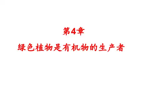 苏科版生物七上4.1《植物的光合作用》课件(共31张PPT)