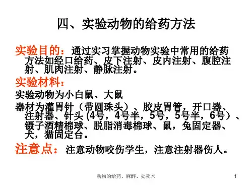 动物的给药、麻醉、处死术ppt课件