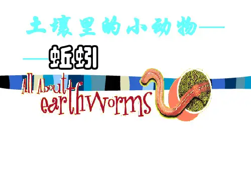 教科版小学科学三年级上册第二单元《蚯蚓》PPT课件