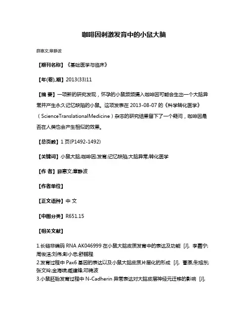 咖啡因刺激发育中的小鼠大脑