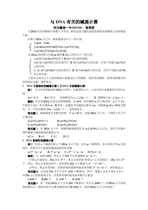 与DNA有关的碱基计算