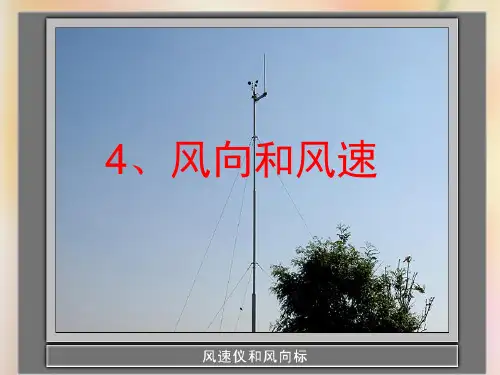 4风向和风速PPT课件