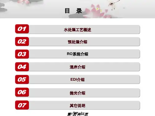纯水处理工艺介绍PPT课件