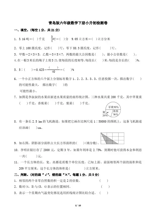 青岛版六年级数学下册小升初真卷  附答案 (4)