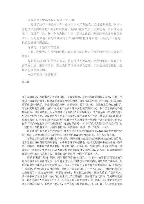 《断魂枪》读后感(5篇)