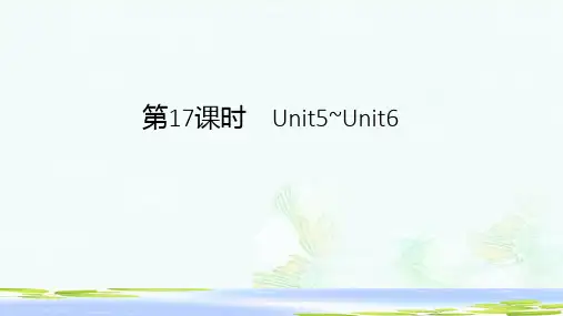 2019年中考英语总复习第17课时九全Unit5_6课件-推荐ppt版本