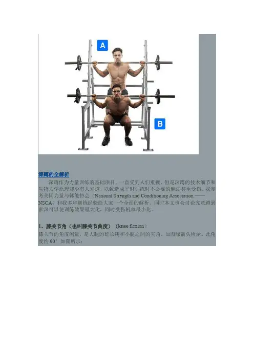 运动员深蹲动作解析