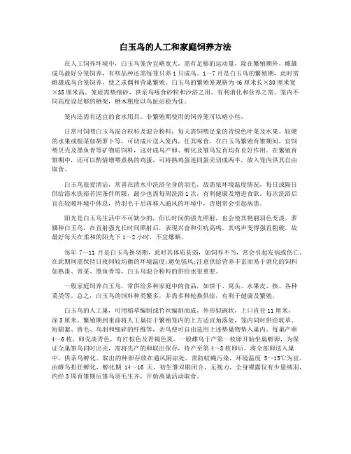 白玉鸟的人工和家庭饲养方法