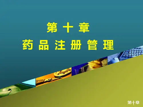 第十章-药品注册管理PPT课件