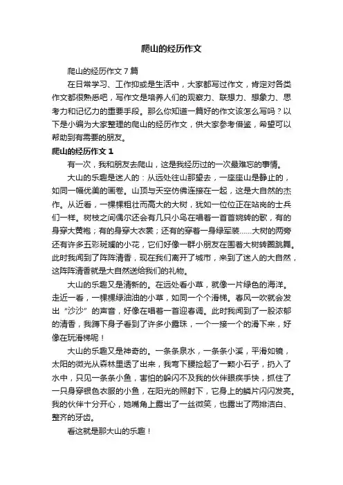 爬山的经历作文7篇