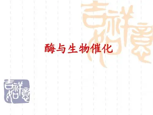 第六讲酶与生物催化