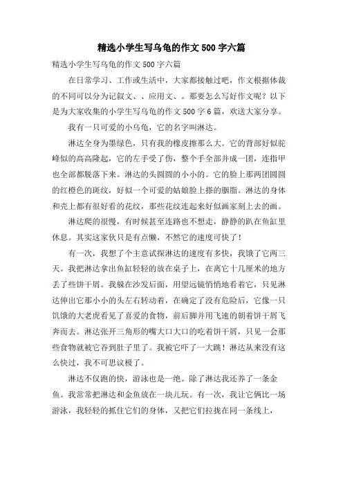 小学生写乌龟的作文500字六篇