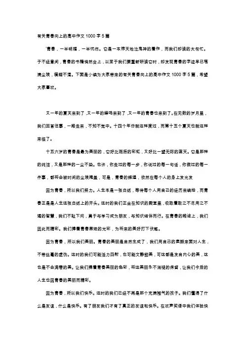 高中作文-有关青春向上的高中作文1000字5篇
