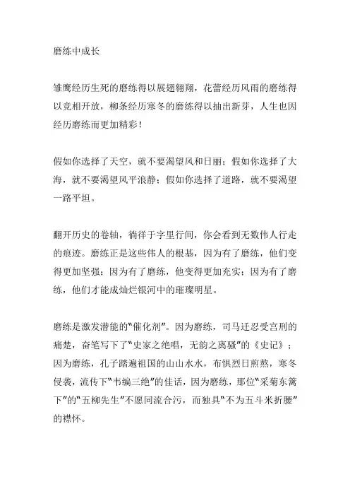 磨练中成长作文800字