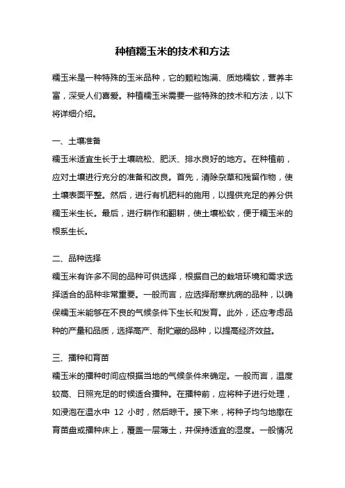 种植糯玉米的技术和方法