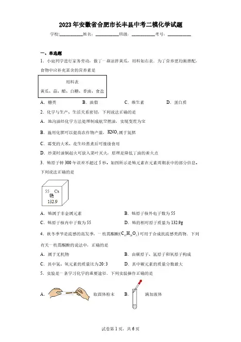 2023年安徽省合肥市长丰县中考二模化学试题(含解析)