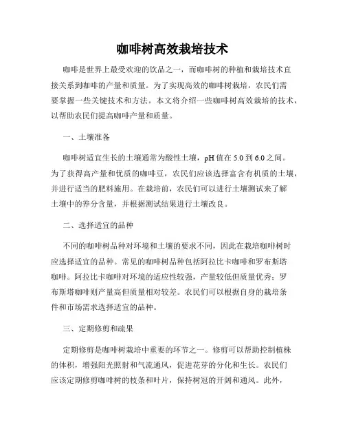 咖啡树高效栽培技术