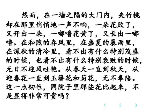 夹竹桃第二课时公开课
