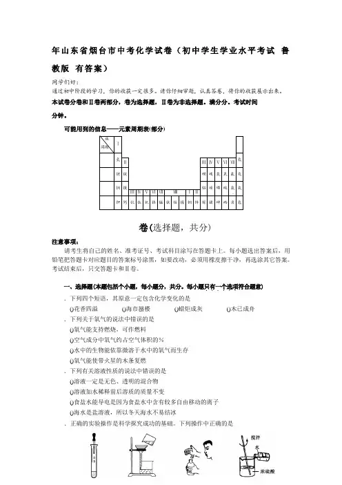 年山东省烟台市中考化学试题(初中学生学业水平考试