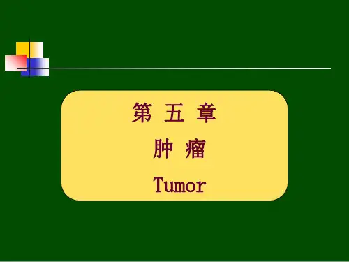 肿瘤之中医见解