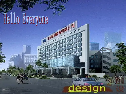 三九集团内部控制环境案例分析.ppt