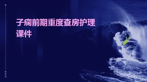 子痫前期重度查房护理课件