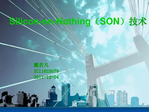 SON,SOI,IC,器件
