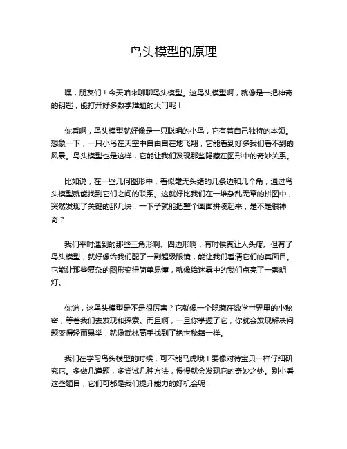 鸟头模型的原理