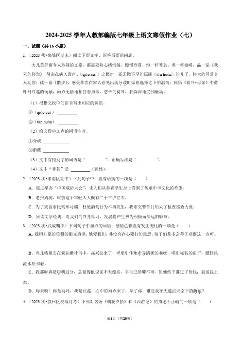 2024-2025学年人教部编版七年级上语文寒假作业(七)