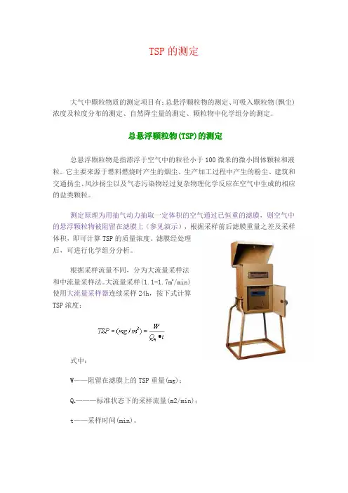 TSP测定