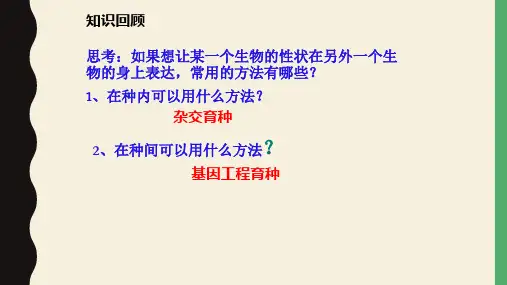 蛋白质工程的崛起课件-高二下学期生物人教版选修3.pptx