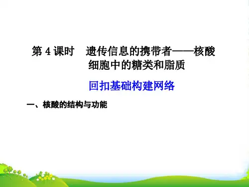 【步步高】高中生物一轮复习 第一单元 第4课时遗传信息的携带者—核酸细胞中的糖类和脂质 苏教必修1