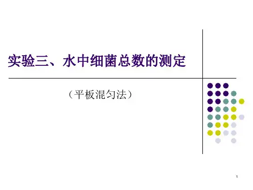 水中细菌总数的测定(课堂PPT)