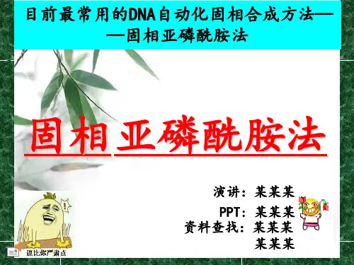 固相亚磷酰胺法——简易讲解模板