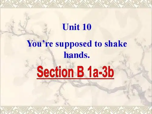 九年级英语全册Unit10You’resupposedtoshakehandsSectionB课件(新)人教新目标