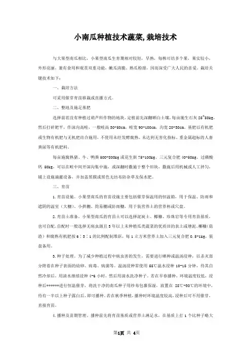 小南瓜种植技术蔬菜,栽培技术