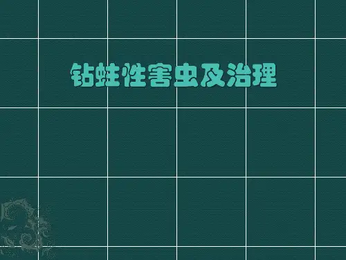 钻蛀性害虫及治理