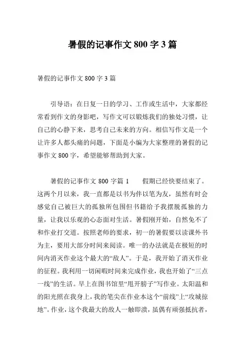暑假的记事作文800字3篇