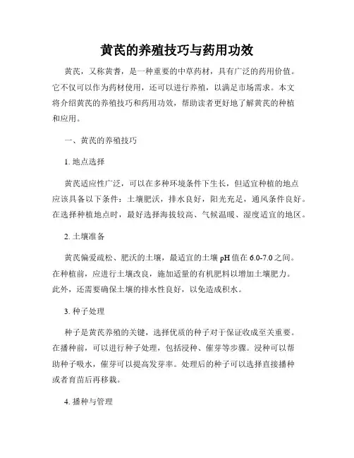 黄芪的养殖技巧与药用功效