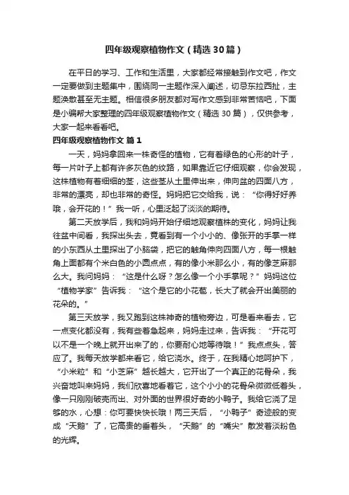 四年级观察植物作文（精选30篇）
