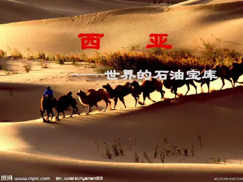 西亚——世界的石油宝库