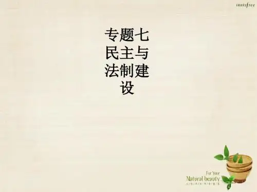 中考历史总复习专题演练七民主与法制建设课件