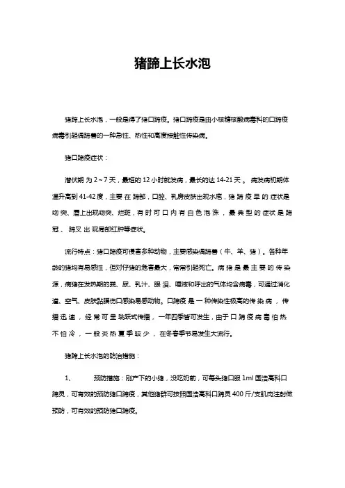 猪蹄上长水泡
