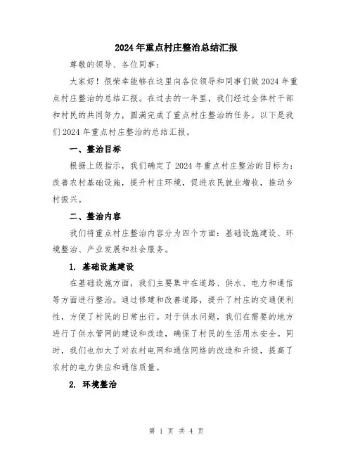 2024年重点村庄整治总结汇报