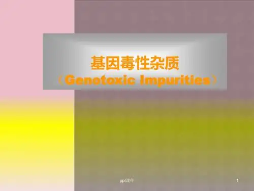 基因(遗传)毒性杂质资料  ppt课件