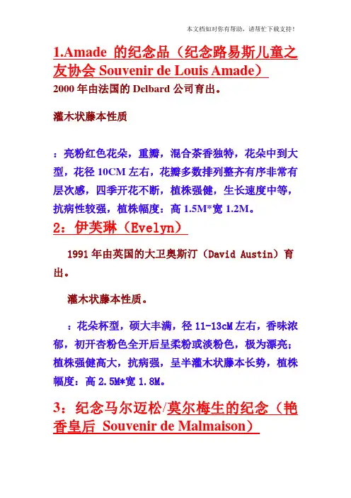 月季品种介绍