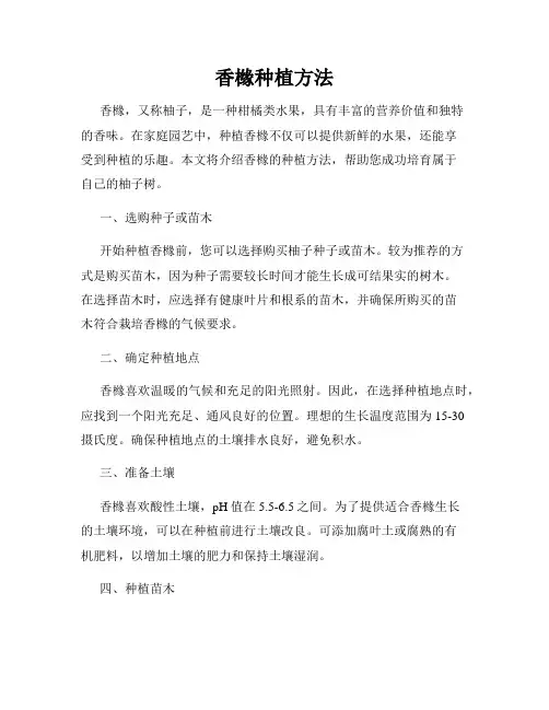 香橼种植方法
