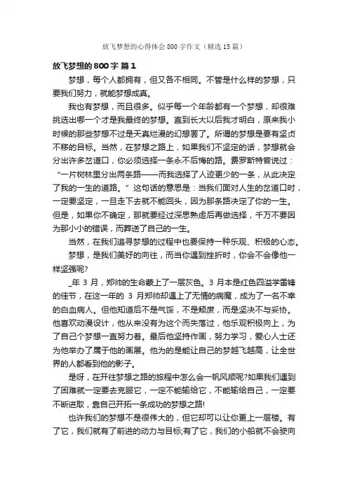放飞梦想的心得体会800字作文（精选15篇）